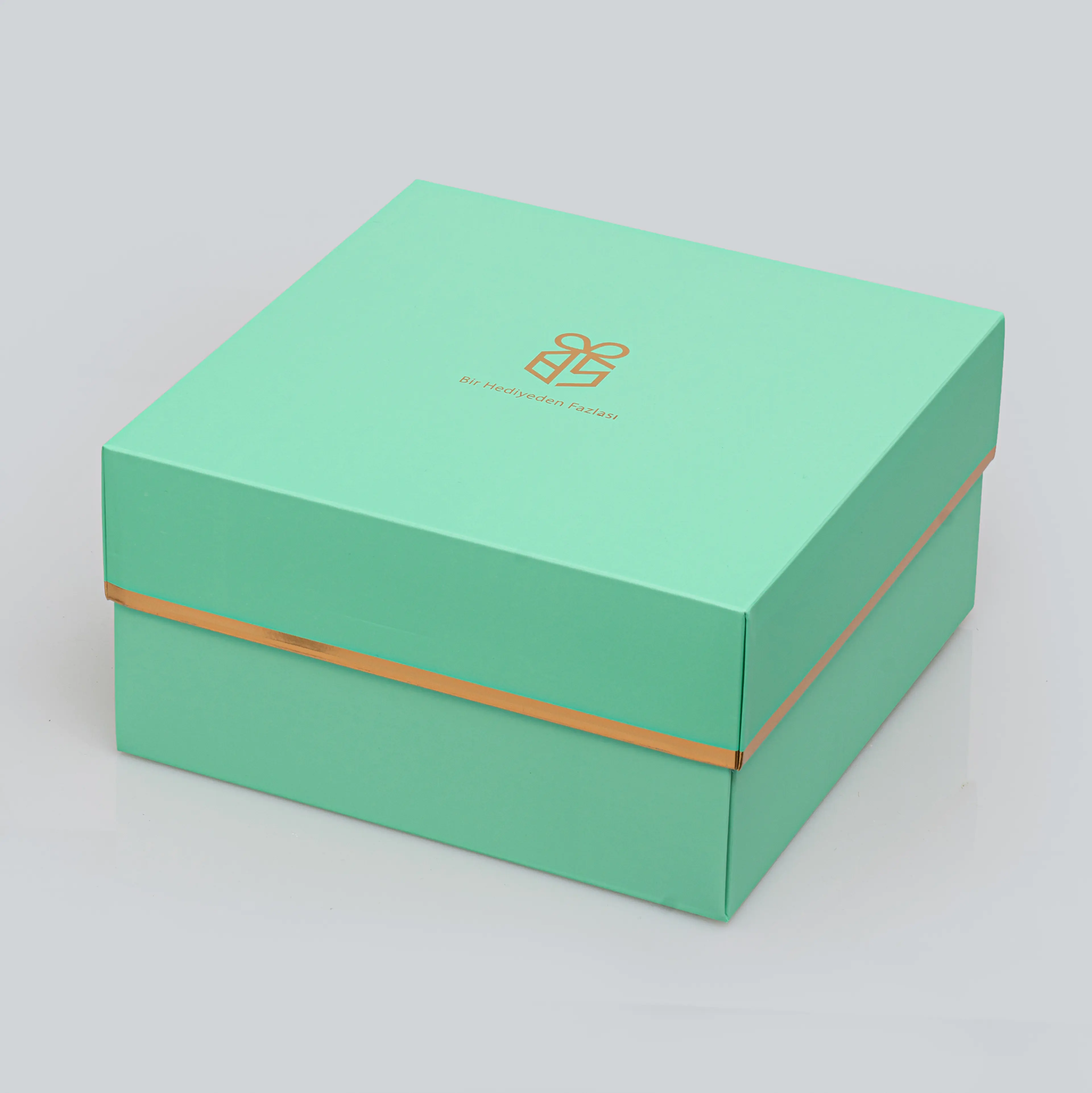 /blobs/square-mint-green-b194d8d9a05047c09f621305bc74aab8.webp?ts=07021339